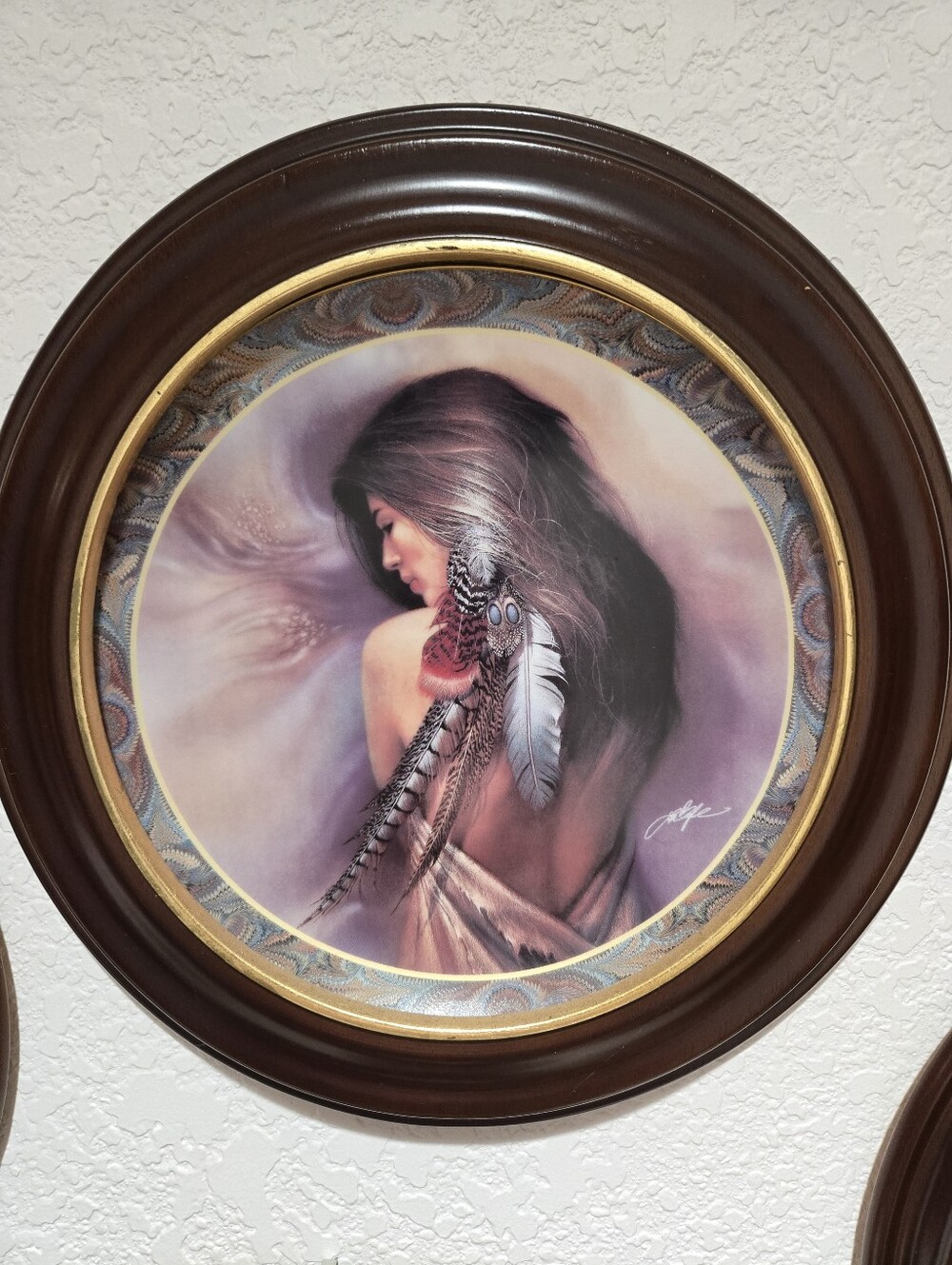 The Bradford Exchange Framed "White Feather"